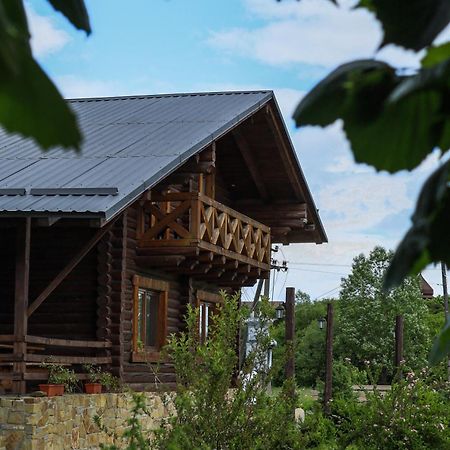 Сottage "Ksenija" Котедж "Ксенія" Skole Bagian luar foto